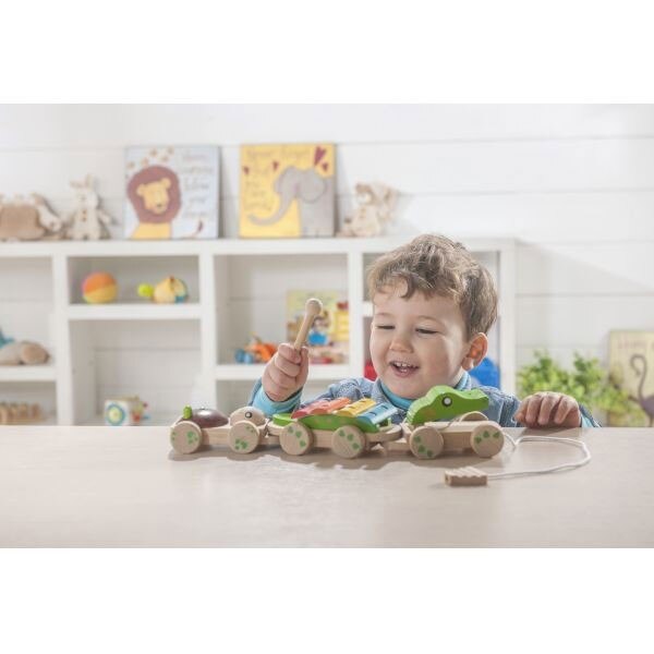 Crocodil muzical cu sfoara, EverEarth, Lemn, 18 luni+