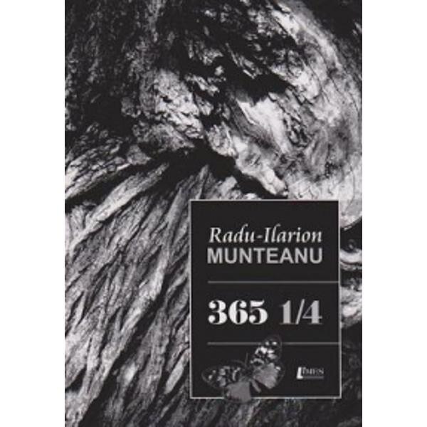 365 1/4 - Radu-Ilarion Munteanu