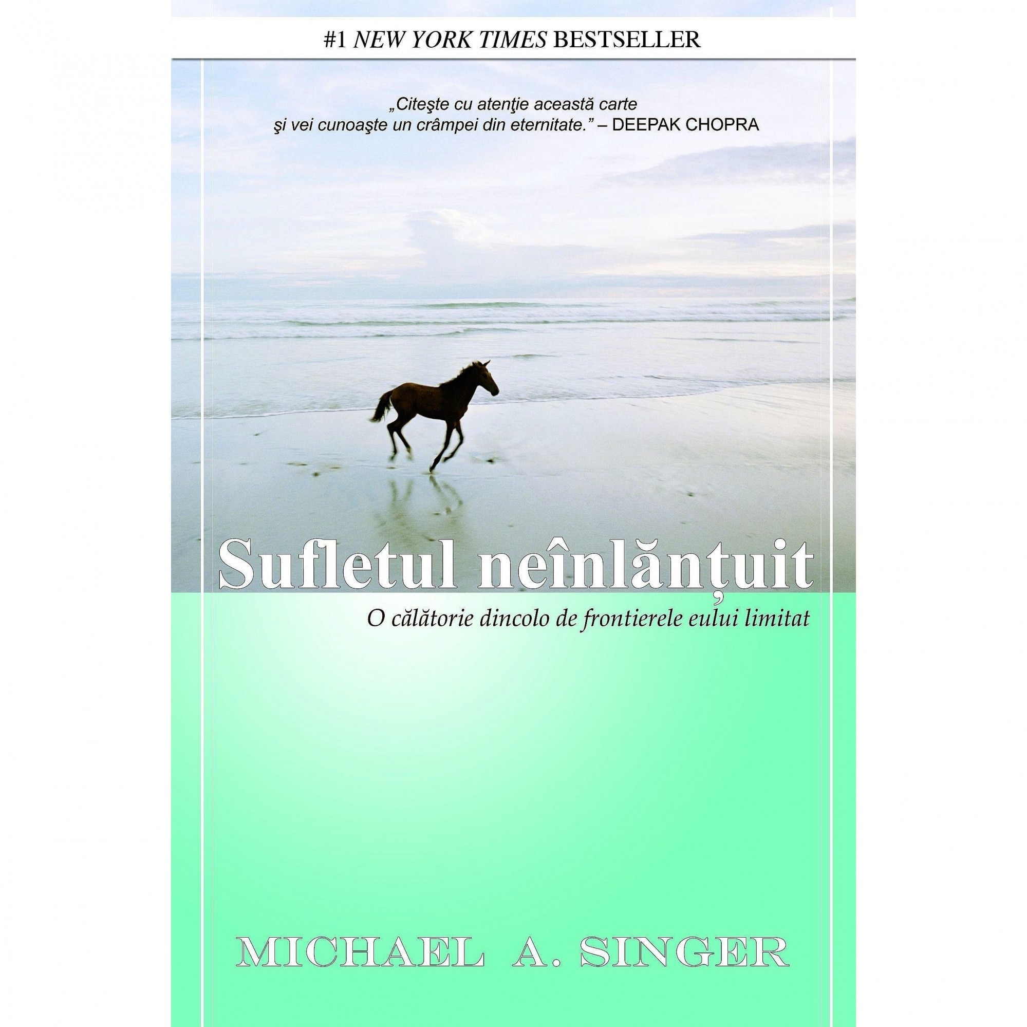 Sufletul neinlantuit - Michael A. Singer