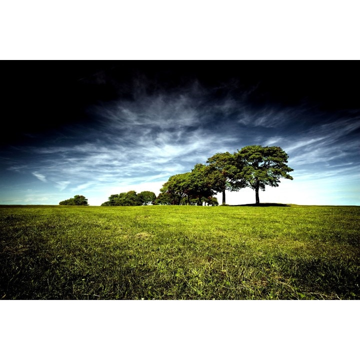 Tablou canvas 50x90 cm Peisaj 526