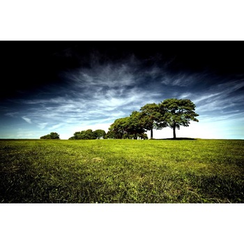 Tablou canvas 50x35 cm Peisaj 526 Tablou canvas 50x35 cm Peisaj 526