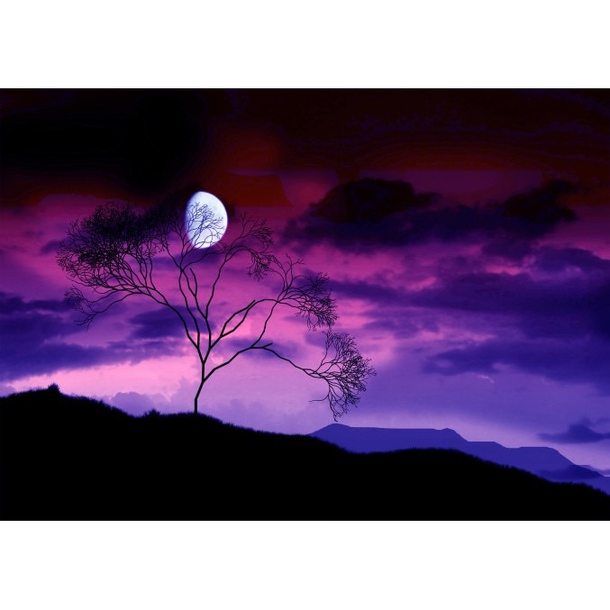 Tablou canvas 50x90 cm Peisaj 561