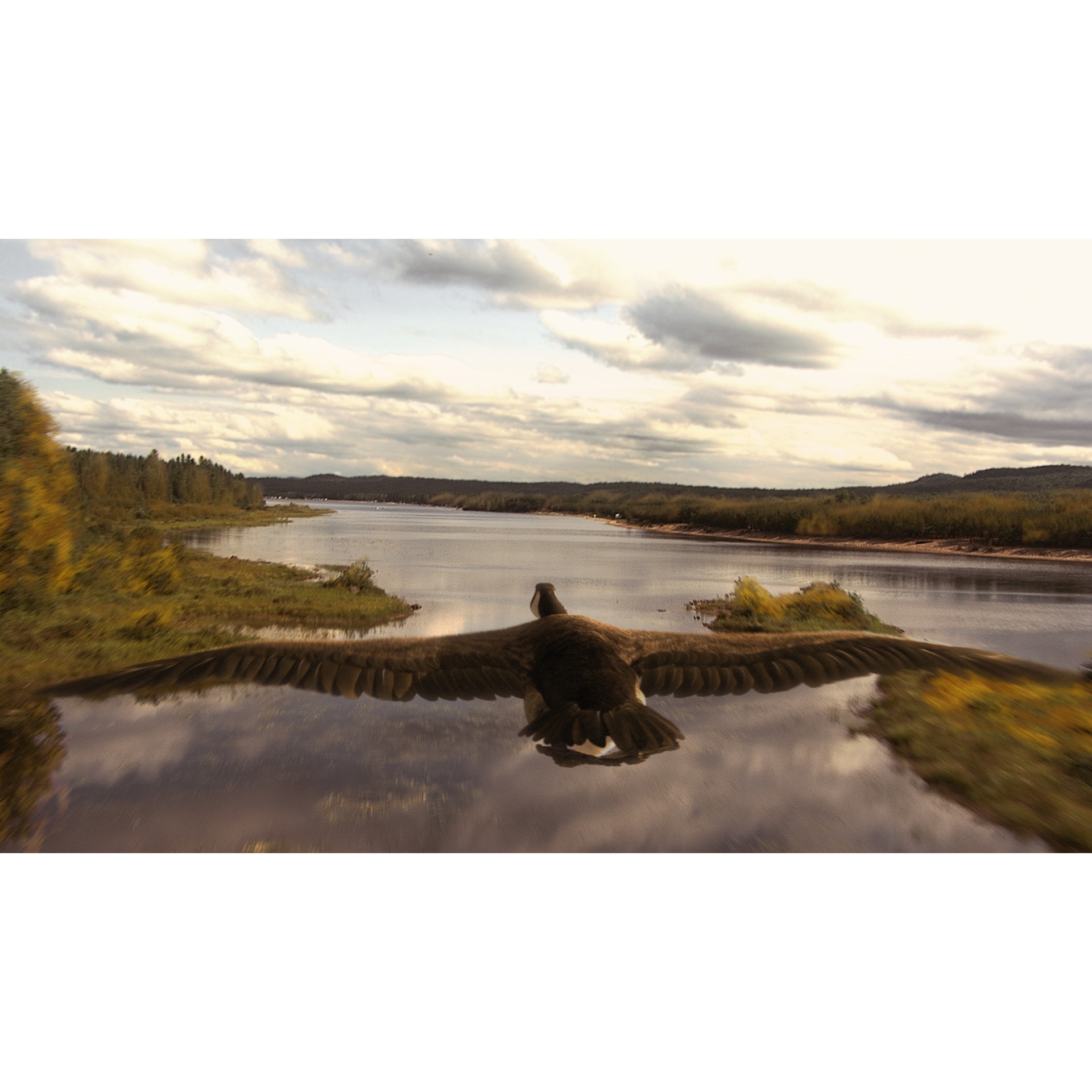 Tablou canvas 100x70 cm Peisaj 503