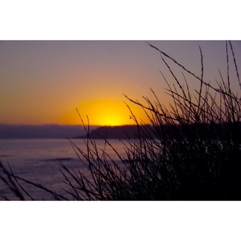 Tablou canvas 100x70 cm Peisaj 534 Tablou canvas 100x70 cm Peisaj 534