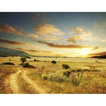 Tablou canvas 50x90 cm Peisaj 545 Tablou canvas 50x90 cm Peisaj 545