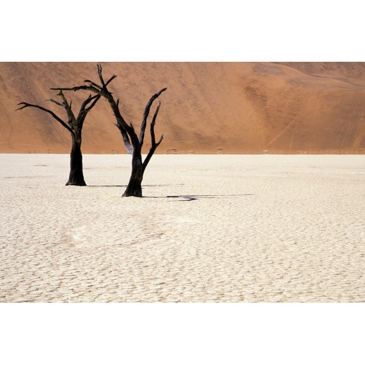 Tablou canvas 100x70 cm Peisaj 523