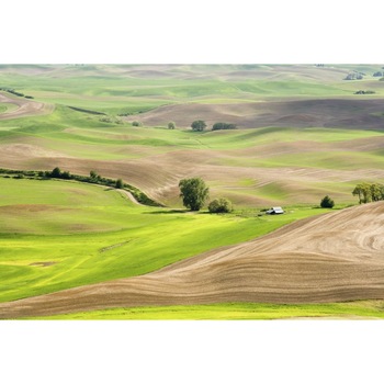 Tablou canvas 50x35 cm Peisaj 525 Tablou canvas 50x35 cm Peisaj 525