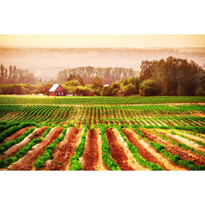 Tablou canvas 100x70 cm Peisaj 601