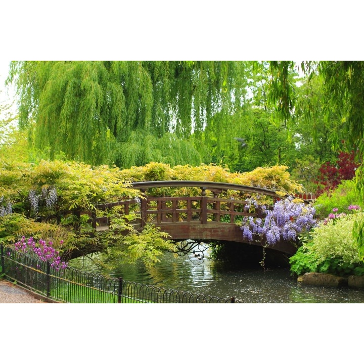 Tablou canvas 100x70 cm Peisaj 583