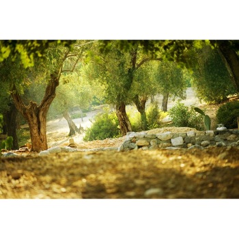 Tablou canvas 75x50 cm Peisaj 616 Tablou canvas 75x50 cm Peisaj 616