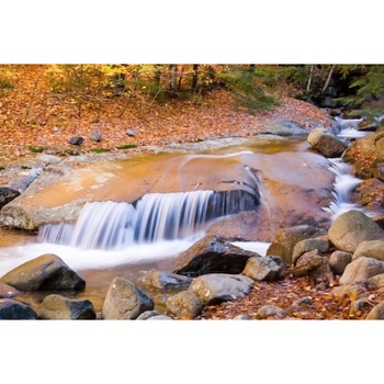 Tablou canvas 50x35 cm Peisaj 542 Tablou canvas 50x35 cm Peisaj 542