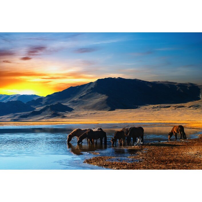 Tablou canvas 100x70 cm Peisaj 554