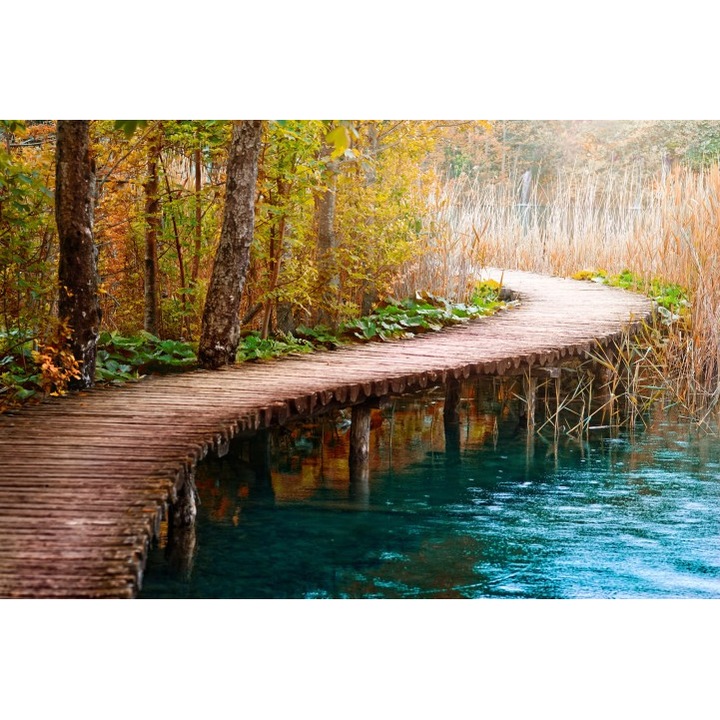 Öntapadós tapéta 80x125 cm Táj 586