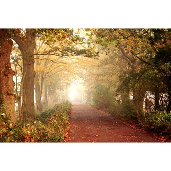 Tablou canvas 50x90 cm Peisaj 541 Tablou canvas 50x90 cm Peisaj 541