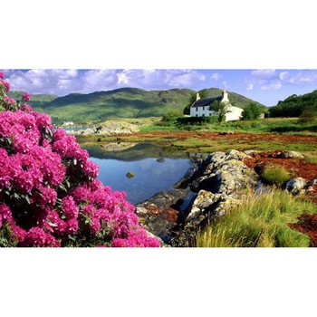 Tablou canvas 50x35 cm Peisaj 504 Tablou canvas 50x35 cm Peisaj 504