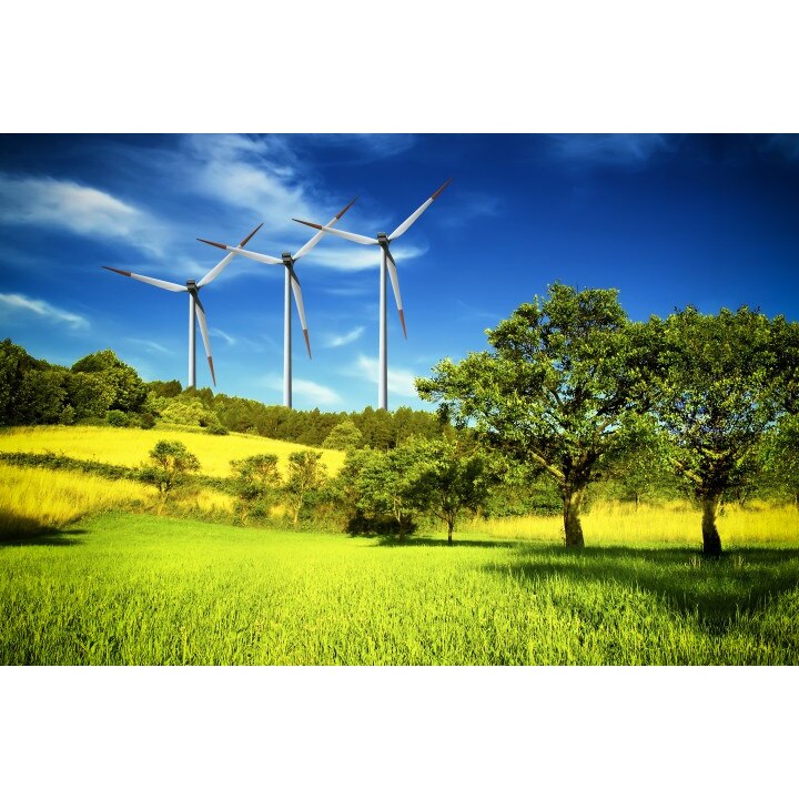 Tablou canvas 50x90 cm Peisaj 628