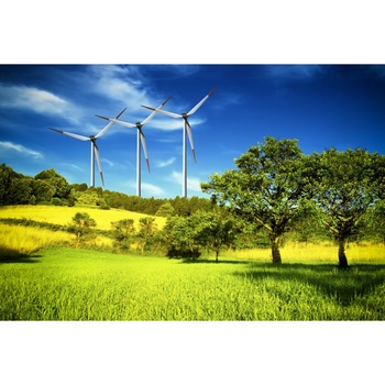 Tablou canvas 50x35 cm Peisaj 628 Tablou canvas 50x35 cm Peisaj 628