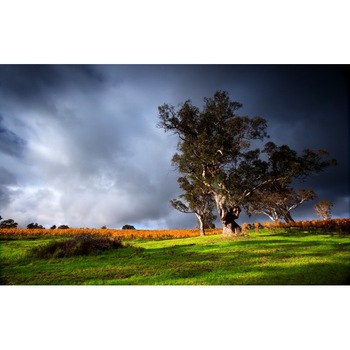 Tablou canvas 50x90 cm Peisaj 612 Tablou canvas 50x90 cm Peisaj 612