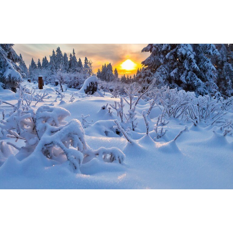 Tablou canvas 50x90 cm Peisaj 644