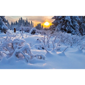 Tablou canvas 50x90 cm Peisaj 644 Tablou canvas 50x90 cm Peisaj 644