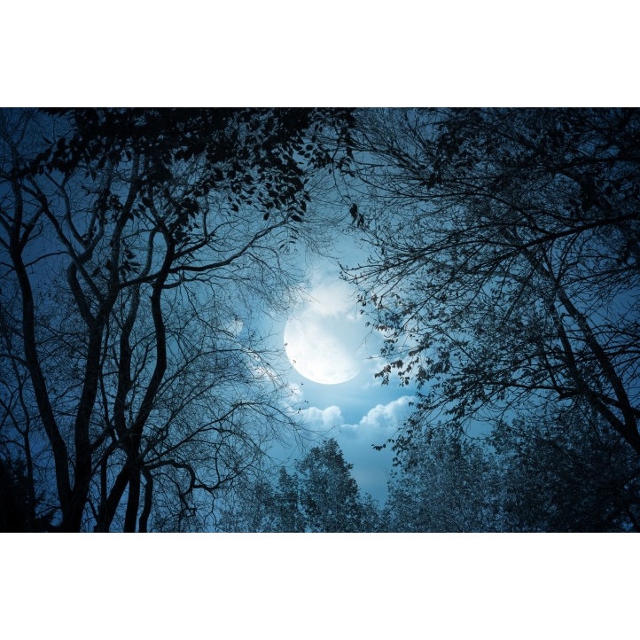 Tablou canvas 50x90 cm Peisaj 590