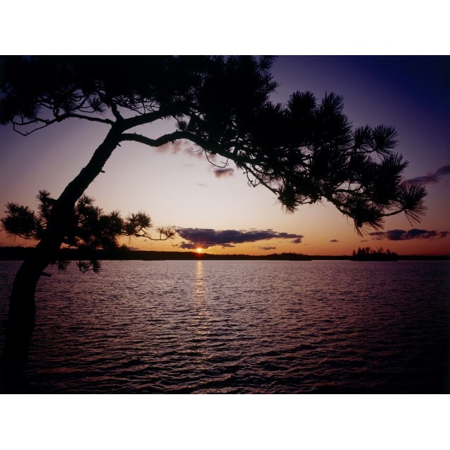 Tablou canvas 100x70 cm Peisaj 533