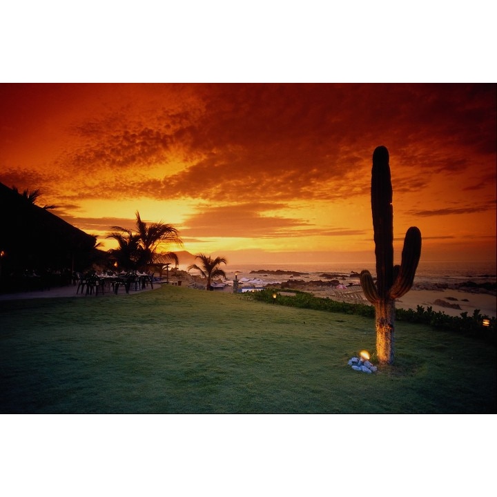 Tablou canvas 50x90 cm Peisaj 645