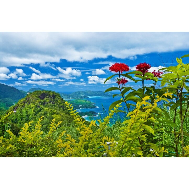 Tablou canvas 50x35 cm Peisaj 625