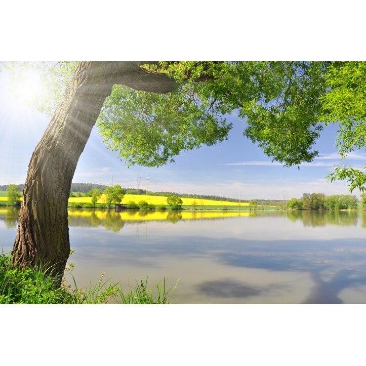 Tablou canvas 50x35 cm Peisaj 609