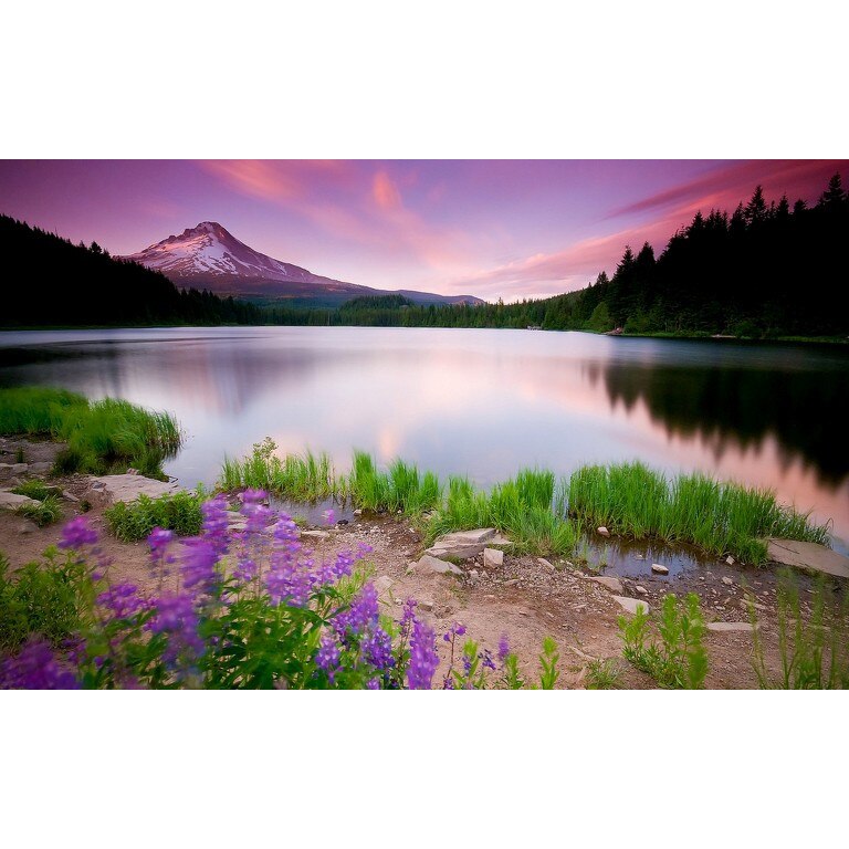 Tablou canvas 50x90 cm Peisaj 634