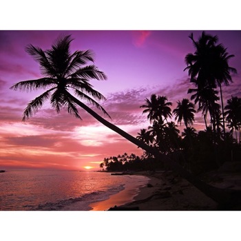 Tablou canvas 50x35 cm Peisaj 539 Tablou canvas 50x35 cm Peisaj 539