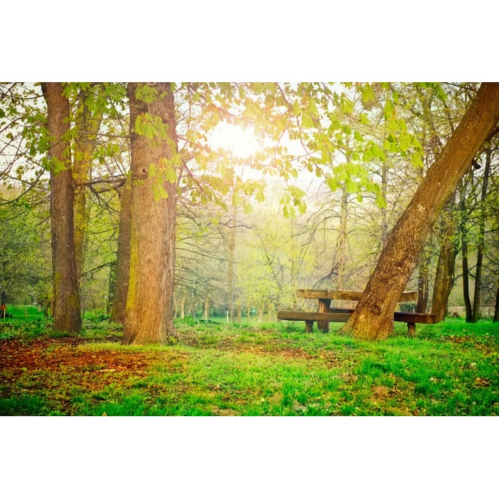 Tablou canvas 50x35 cm Peisaj 581