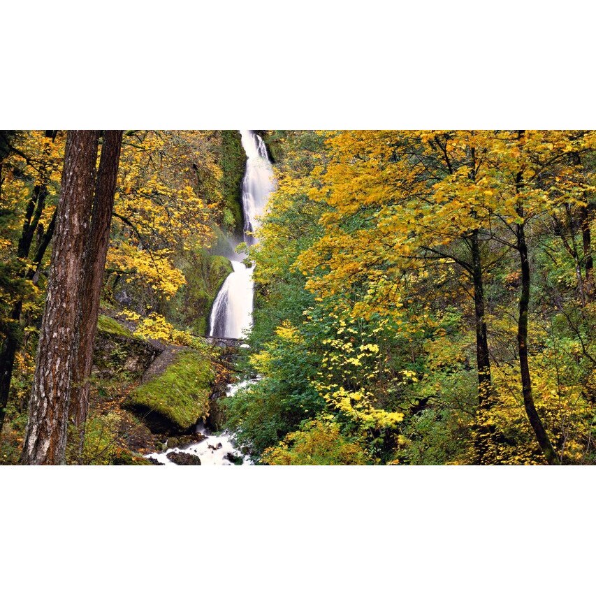 Tablou canvas 50x35 cm Peisaj 633