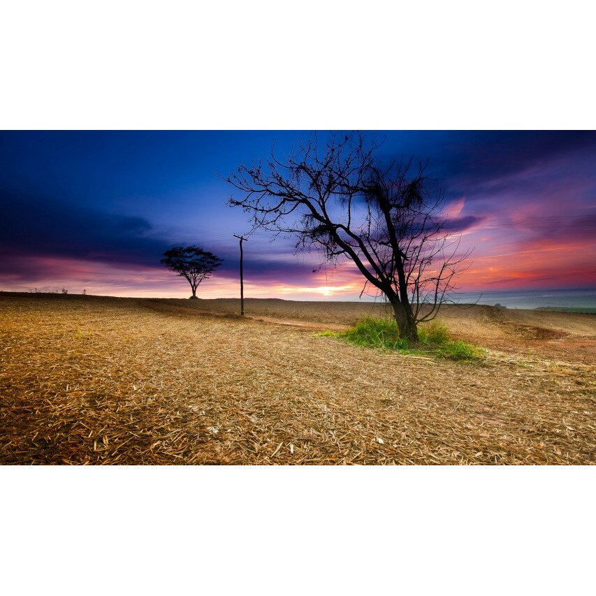 Tablou canvas 50x35 cm Peisaj 703