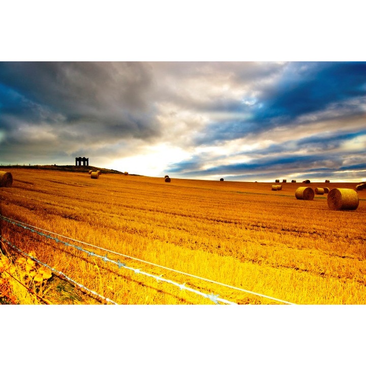 Fototapet autoadeziv Canvas 120x80 cm Peisaj 666