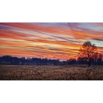 Tablou canvas 50x90 cm Peisaj 766 Tablou canvas 50x90 cm Peisaj 766