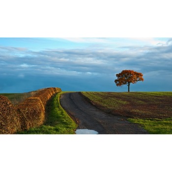 Tablou canvas 50x90 cm Peisaj 705 Tablou canvas 50x90 cm Peisaj 705