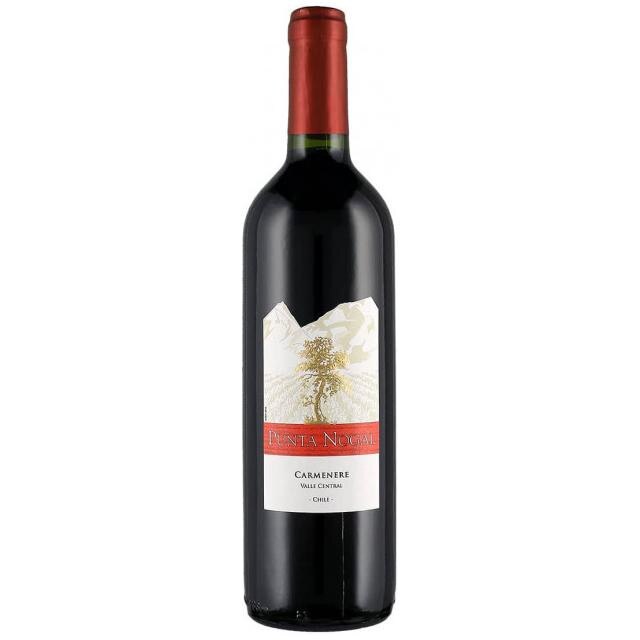 Vin rosu sec Carmenere 2015, 0.75L, Punta Nogal