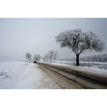 Tablou canvas 50x90 cm Peisaj 516 Tablou canvas 50x90 cm Peisaj 516