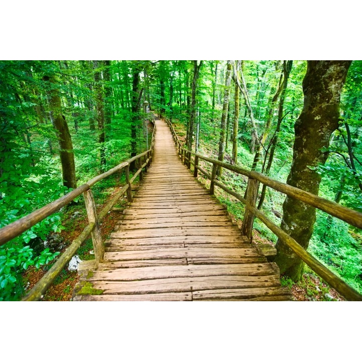 Tablou canvas 100x70 cm Peisaj 585