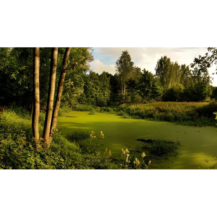 Tablou canvas 100x70 cm Peisaj 782