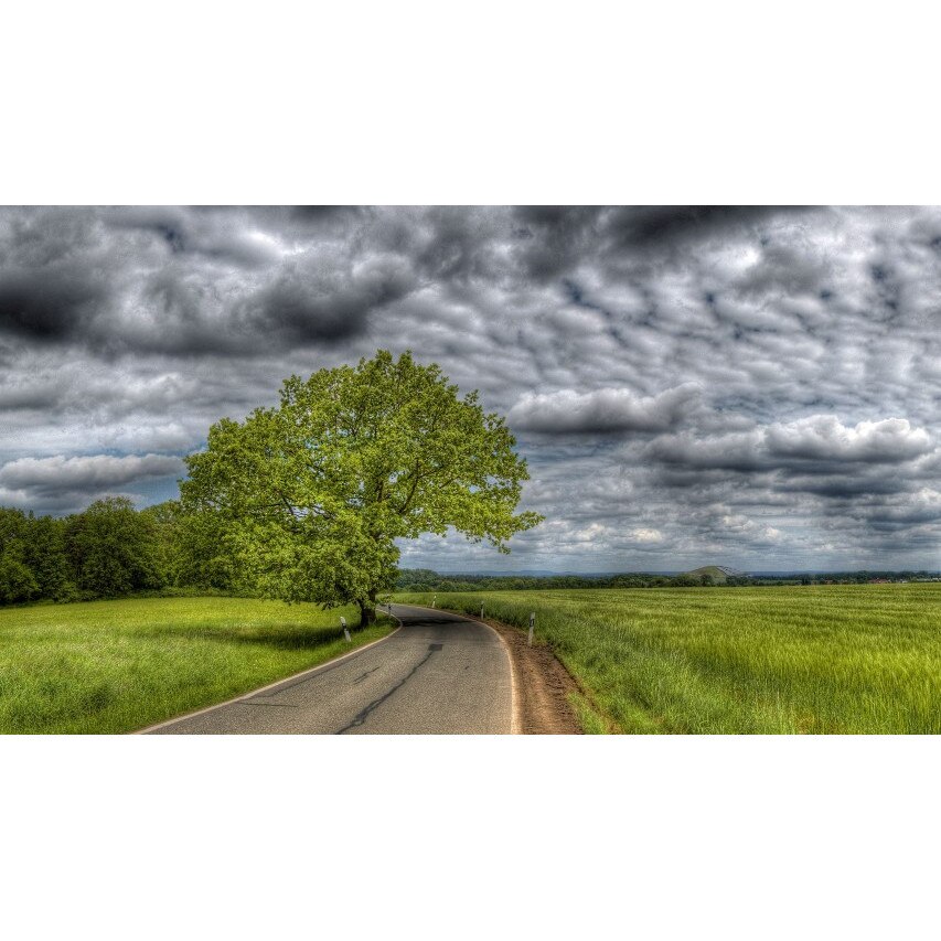 Tablou canvas 50x90 cm Peisaj 740