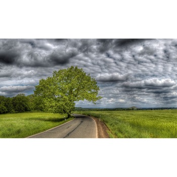 Tablou canvas 50x90 cm Peisaj 740 Tablou canvas 50x90 cm Peisaj 740