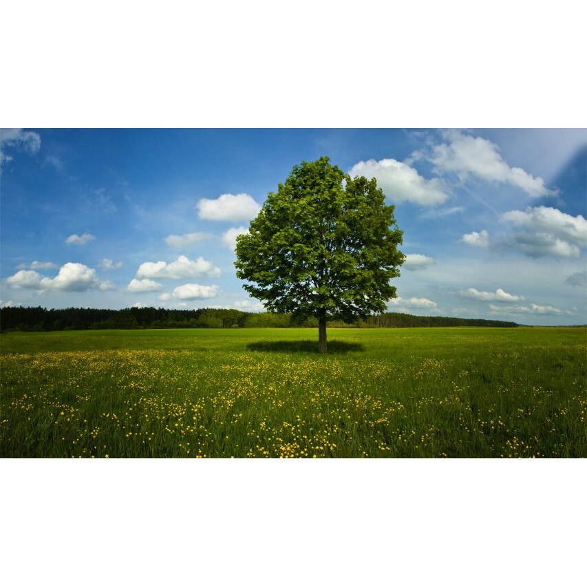 Tablou canvas 50x35 cm Peisaj 756