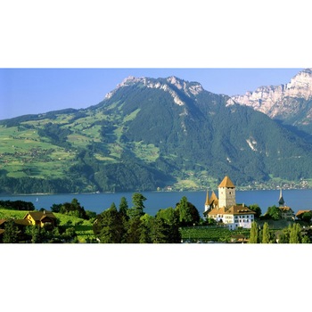 Tablou canvas 50x35 cm Peisaj 702 Tablou canvas 50x35 cm Peisaj 702