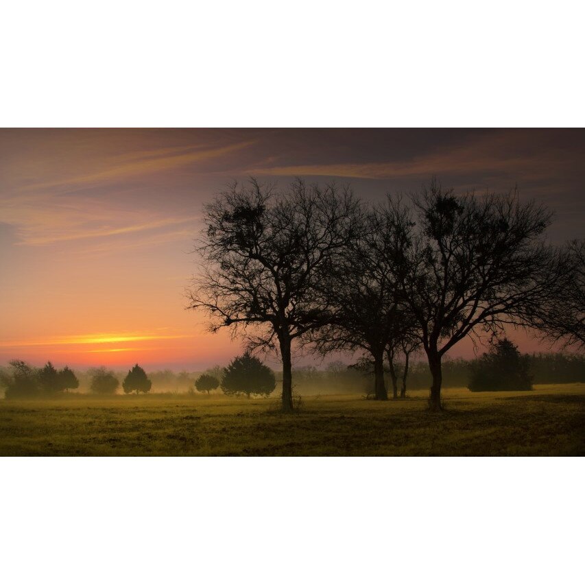 Tablou canvas 50x90 cm Peisaj 791