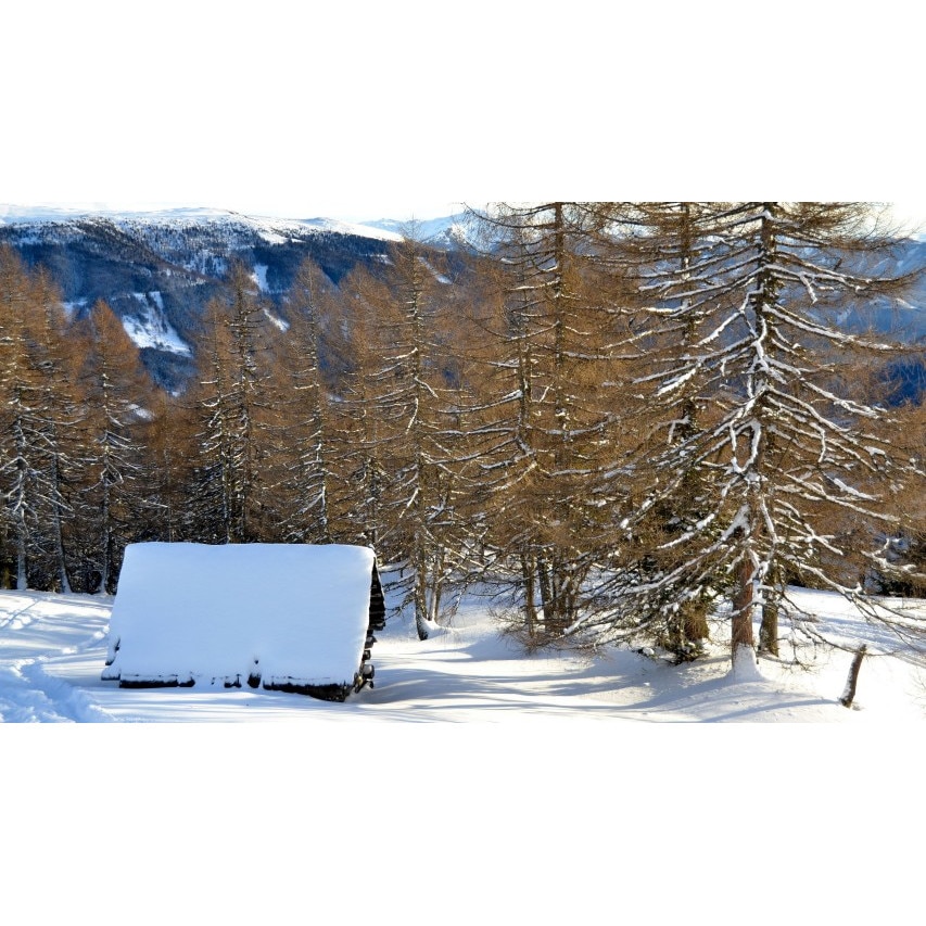 Fototapet autoadeziv 85x125 cm Peisaj 749