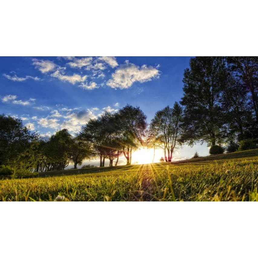 Tablou canvas 100x70 cm Peisaj 752