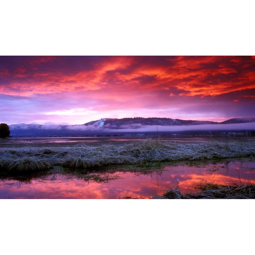 Tablou canvas 50x90 cm Peisaj 717