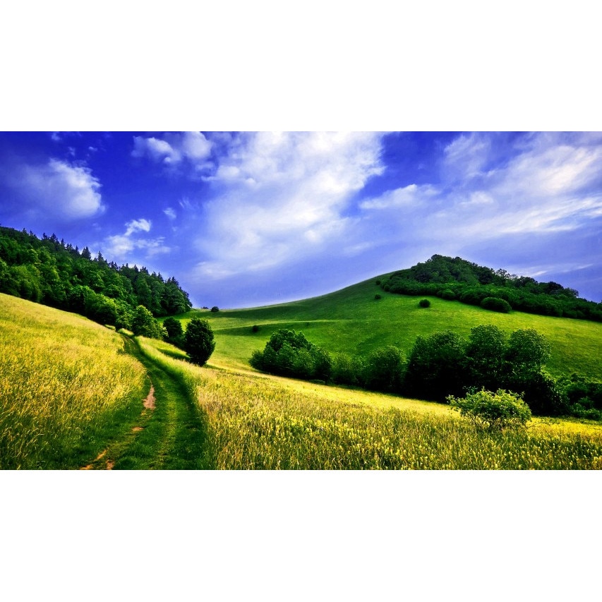 Tablou canvas 50x35 cm Peisaj 772